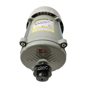 Ecotec מנוע עם שונה מתח 110-380 עבור דלק Dispenser - Product Image 3