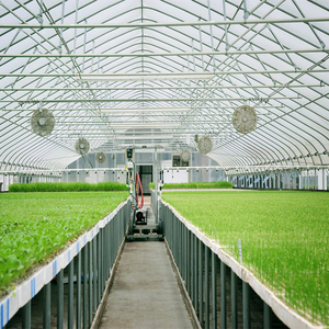 Serre tunnel monocouche à faible coût pour <span class=keywords><strong>tomates</strong></span>, laitues, fleurs – Kit complet de <span class=keywords><strong>serres</strong></span> agricoles en film – Ensemble complet de <span class=keywords><strong>serres</strong></span> - Product Image 3