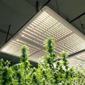 สเปกตรัมเต็มรูปแบบ LED พืชการเจริญเติบโตแสงแดดควอนตัมบอร์ด Grow Hydroponic เต็นท์กล่องพืชเติบโตแสง