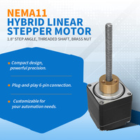 Moteur pas à pas linéaire RB Nema 11 de 28 mm, haute précision, vis à métaux TR5/TR6, course longue 300 mm, actionneur linéaire compact 12 V
