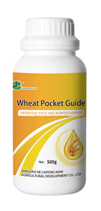 Productos Agro Fertilizante <span class=keywords><strong>foliar</strong></span> Aumenta el rendimiento de <span class=keywords><strong>trigo</strong></span> Mejora la calidad del <span class=keywords><strong>trigo</strong></span> <span class=keywords><strong>para</strong></span> la siembra de <span class=keywords><strong>trigo</strong></span> - Product Image 6