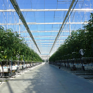 Serre en verre multi-chapelles résistante au vent et aux charges de neige, avec couverture en verre trempé, isolation thermique anti-condensation et étanchéité. - Product Image 6