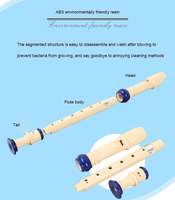 Starway Wholesale OEM ODM Custom NO MOQ Colorful 6 8 Holes Plastic Recorder Flute Wind Instruments for Kids Beginner