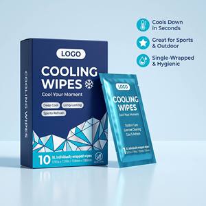 Free Sample Travel-friendly Personal Care Cooling Wipes Natural Ingredients Instant Cooling Relief Body Wipes for Adults