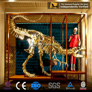 MON <span class=keywords><strong>DINO</strong></span> DS-009 Attrayant Personnalisé Dinosaure Squelette D'or pour L'exposition - Product Image 4