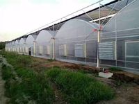 Kit de serre tunnel portable commerciale, serre complète, serres agricoles