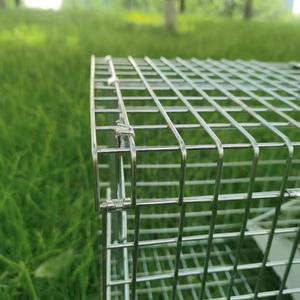 Piège à cage pour animaux vivants Pièges à raton laveur pliants robustes Piège à chat sans cruauté pour ratons laveurs errants Écureuil Taupe <span class=keywords><strong>Attraper</strong></span> et relâcher - Product Image 4