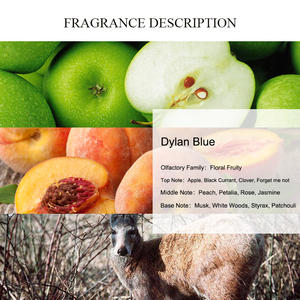 UNIQUE AROMA <span class=keywords><strong>Dylan</strong></span> Blue Huile de parfum pour <span class=keywords><strong>femme</strong></span> Vente en gros Offre Spéciale Parfum pour <span class=keywords><strong>femme</strong></span> créateur Déodorant Huile de parfum anti-transpirant - Product Image 2