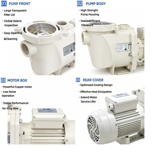 Pompe de filtration pour piscine haute pression style Pentair 1,5hp 2hp 3hp - Product Image 5