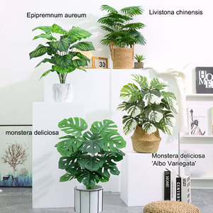 <span class=keywords><strong>Plante</strong></span> tropicale artificielle Monstera Bananier, décoration de jardin intérieure et extérieure, arbre artificiel en pot, durable, respectueux de l'environnement, pour la remise des diplômes - Product Image 2