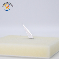 Lame en carbure monobloc haute précision 55HRC Warrior's Bit pour centre d'usinage CNC, disponible en version OEM