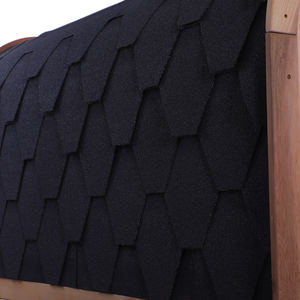 Sauna de Vapor Seco para Exteriores Personalizada a Precio de Fábrica para 4 Personas, para Relajación en el Patio Trasero - Product Image 5