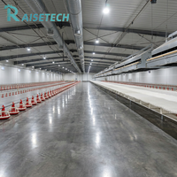 Nouvel incubateur automatique de grande capacité pour l'élevage avicole, avec collecte d'œufs pour poules pondeuses, haute productivité, pour autruches, dindes, canards, oies, émeus