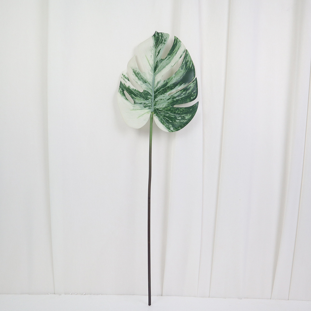 Bianco verde - 55 cm