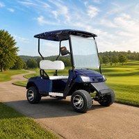 Voiturette de golf électrique 2 places homologuée pour la route, 35 km/h, capacité de montée de 25 %, frein hydraulique double, certifiée CE, pour parcours de golf et centres de villégiature