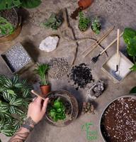 Kit terarium beraroma besar, pot bunga taman rumah, kreativitas sains anak dewasa, wadah kaca dengan berbagai jenis wadah kaca