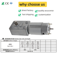 Moteur à vis sans fin DC à couple élevé YIFENG 12V 24V auto-bloquant 5840GF-555, boîte de vitesses métallique à faible bruit pour porte automatique et porte-vestes intelligent