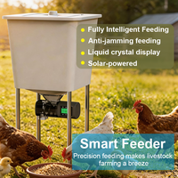 Nouvel alimentateur automatique pour volailles, adapté à l'élevage de poulets, canards et cailles, avec réglage du temps d'alimentation, OEM