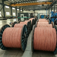 Câble électrique en cuivre pur massif BV à isolation PVC, 1,5 mm, 2,5 mm, 4 mm, monoconducteur, pour usage en bâtiment et industriel, directement de l'usine