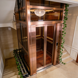 Ascensor Eléctrico Residencial Moderno para Casa o Villa, de 2 a 15 Pasajeros, con Piso de PVC Resistente al Desgaste, para <span class=keywords><strong>la</strong></span> <span class=keywords><strong>Vida</strong></span> Familiar - Product Image 3