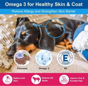 Polvo multivitamínico OEM/ODM-Suplemento multivitamínico diario para perros con probióticos y Omega 3-Soporte de articulaciones para la salud inmunológica - Product Image 3
