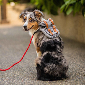 Cute Pet <b>Backpack</b> <b>Large</b>-capacity Dog Snack Bag Puppy Portable School Bags Convenient for Small Medium Dogs - Product Image 3