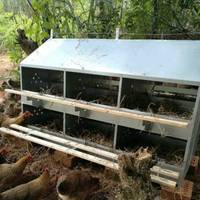 12 trous ferme de volaille nichoir d'oeufs de poulet nid de ponte d'oeufs de poule pour ferme de volaille nichoir de poulet