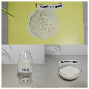 Oil Drilling Grade ISO Standard Powder Chemical XC Polymer Xanthan Gum