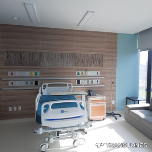 Hoja PETG de alta calidad con plantas implantadas Sándwich Panel de puerta acrílico de 6mm Panel de pared artificial Piedra - Product Image 1