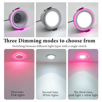 Prix abordable, panneau lumineux LED moderne en PVC acrylique, CCT en option 3000K-6000K, spot 8+8W, encastré, plafonnier, éclairage encastré