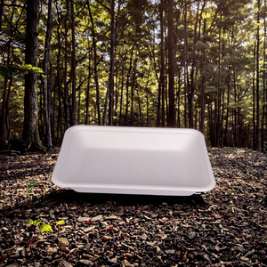 Assiettes et bols biodégradables en feuilles d'arec légères |   Vaisselle jetable de style traditionnel |   Écologique, 200 unités, usage quotidien - Product Image 3