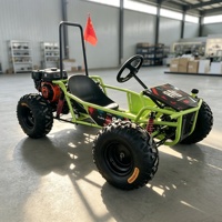 Grand kart tout-terrain antidérapant à pneus robustes et châssis en acier, idéal pour la location en sites touristiques, avec support de logo personnalisé OEM