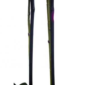 <span class=keywords><strong>OH</strong></span> ARTS Fleurs d'orchidées Phalaenopsis artificielles de haute qualité pour la décoration de la maison et de mariages, tiges élégantes pour la Fête des Mères - Product Image 4