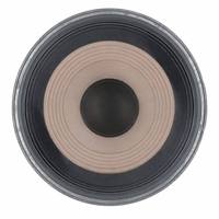Haut-parleur de graves professionnel OEM ODM 12 pouces 700W à aimant néodyme, 350W AES 8 Ohm 98dB, bobine vocale 3 pouces
