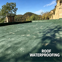 Revêtement liquide imperméable à base de ciment polymère JS avec garantie de 5 ans pour les murs en béton de salles de bain, cuisines et piscines