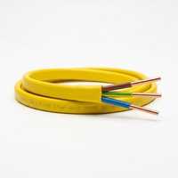 Câble électrique plat 3 conducteurs (jumelé et terre) en cuivre massif 1,0 mm² 1,5 mm² 2,5 mm² pour alimentation industrielle