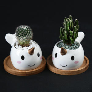 <span class=keywords><strong>Maceta</strong></span> <span class=keywords><strong>de</strong></span> cerámica <span class=keywords><strong>de</strong></span> narval, <span class=keywords><strong>maceta</strong></span> pequeña <span class=keywords><strong>de</strong></span> flores <span class=keywords><strong>de</strong></span> bonsái verde, ballena, <span class=keywords><strong>unicornio</strong></span>, Animal, suculenta, bajo pedido mínimo RTS - Product Image 4