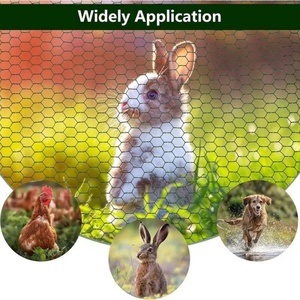 Galvanized Hexagonal <strong>Wire</strong> Mesh Poultry <strong>Netting</strong> Chicken <strong>Wire</strong> for Farm Bird and Rabbit Enclosure Fence - Product Image 3