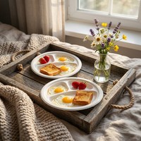 Assiettes jetables écologiques et compostables en bagasse de canne à sucre de 10 pouces pour la restauration, les fêtes et les services alimentaires