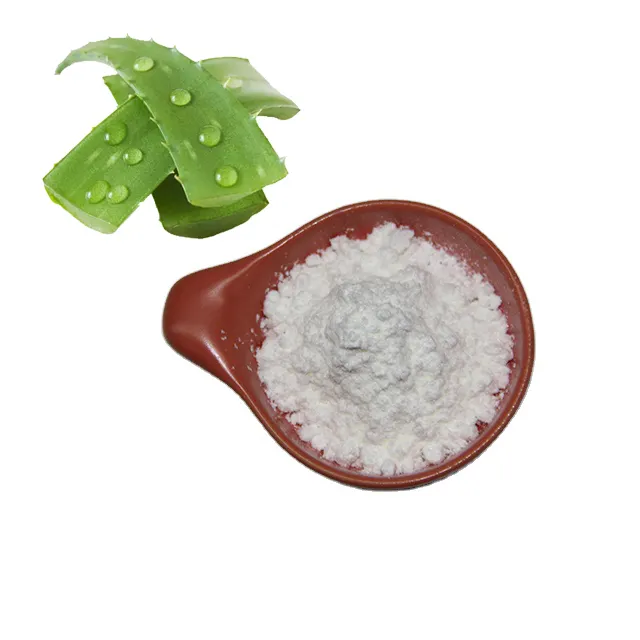 Polvo de extracto de Aloe Vera de grado alimenticio, extracto de Aloe Vera de calidad superior, polvo de extracto de Aloe Vera liofilizado al por mayor