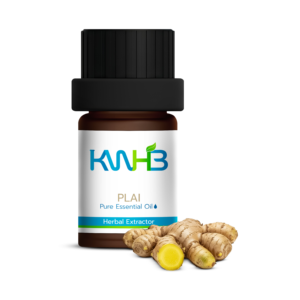 Aceite Esencial Puro KWHB 5ml Extractor Herbal para Uso Doméstico Producto de Tailandia - Product Image 2