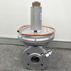 <span class=keywords><strong>JGV</strong></span>-40F40 อุปกรณ์วาล์วลดความดันหน้าแปลนความปลอดภัยแก๊สลดความดันวาล์วควบคุมการปล่อยสําหรับวาล์วควบคุม - Product Image 3