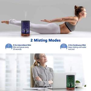 Điện rừng đen cây kim loại hương liệu tinh dầu mùi hương khuếch tán không khí tạo độ ẩm khuếch tán hương thơm - Product Image 4