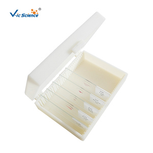 Juego de 30 Portaobjetos Preparados con Bacterias Humanas para Microscopio, Muestras para Enseñanza de Biología Médica - Product Image 1