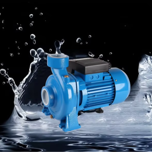 고유량 1마력 2인치 원심 펌프 고압 0.75kw 전기 관개 및 농업용 펌프 - Product Image 5