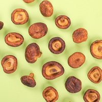 Snacks Saludables al por Mayor de Fábrica, Chips de Champiñones Shiitake Fritos al Vacío y Chips de Vegetales en Paquetes Pequeños con Sabor a Sal Marina