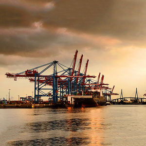 شحن بحري احترافي من الباب إلى الباب من الصين إلى هيوستن مع توصيل سريع ودعم على مدار الساعة طوال أيام الأسبوع (DDU/DDP) - Product Image 6