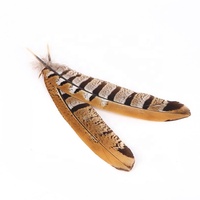 Plumes de queue de faisan Reeves naturelles en gros, 15-20 cm, motif de coiffe indienne, fournisseur brut, marque Xinyuling, Chine, 100