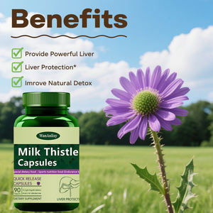 Cápsulas de Artemísia WanAnlisyDaily, Suplemento de Artemísia, Saúde Geral, Vegano à Base de Plantas, Superalimento Verde Diário, 60 Cápsulas - Product Image 2