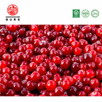 10kg Karton IQF Diepvries Cranberries Hele Verse Cranberryvruchten 24 Maanden Houdbaarheid Bulk Heilongjiang China